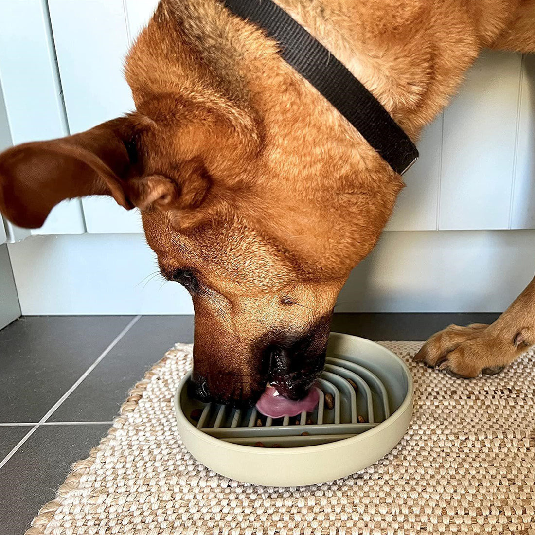 Pet Fashion Slow Feeding Bowl for Pets