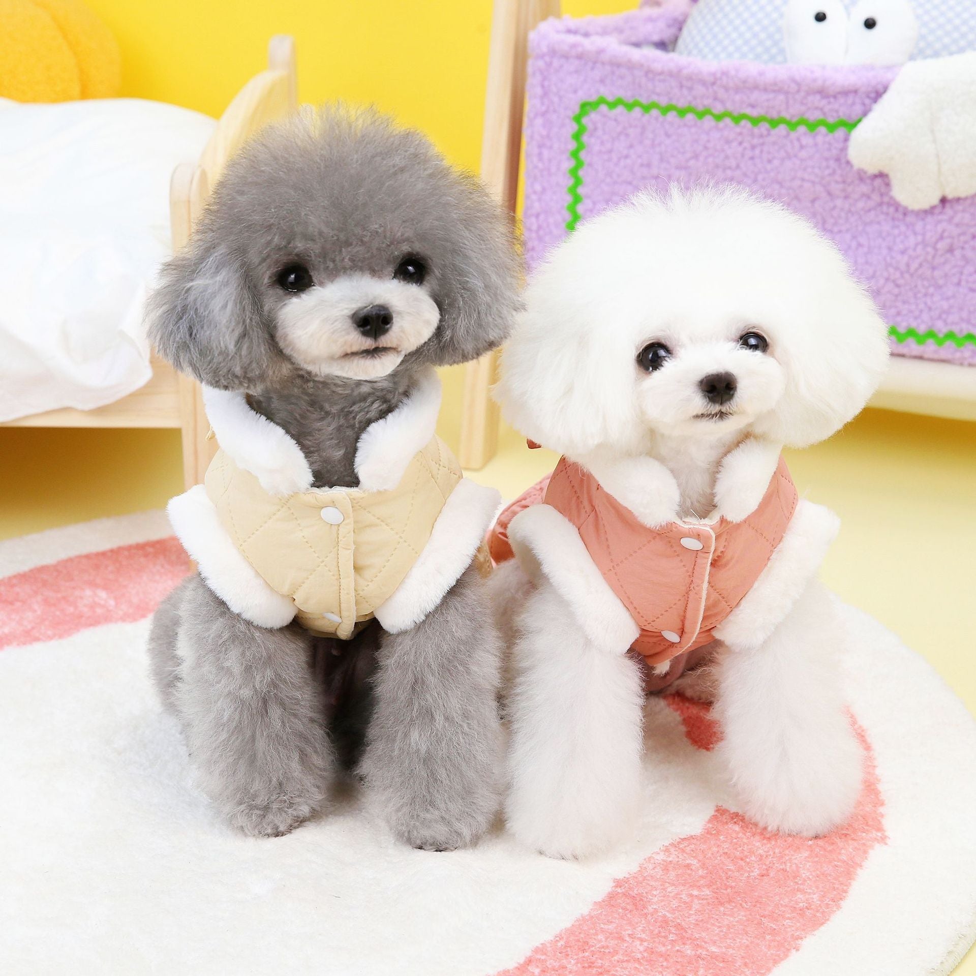 Butterfly Cotton Padded Pet Dress For Pet Wear