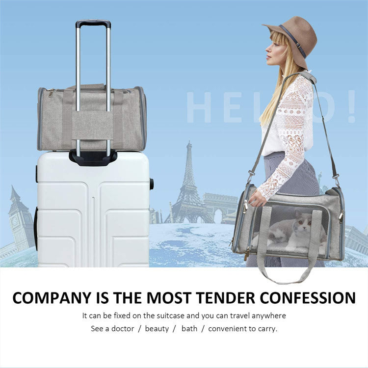 Pet Portable Foldable Handheld Carrier Bag Travel