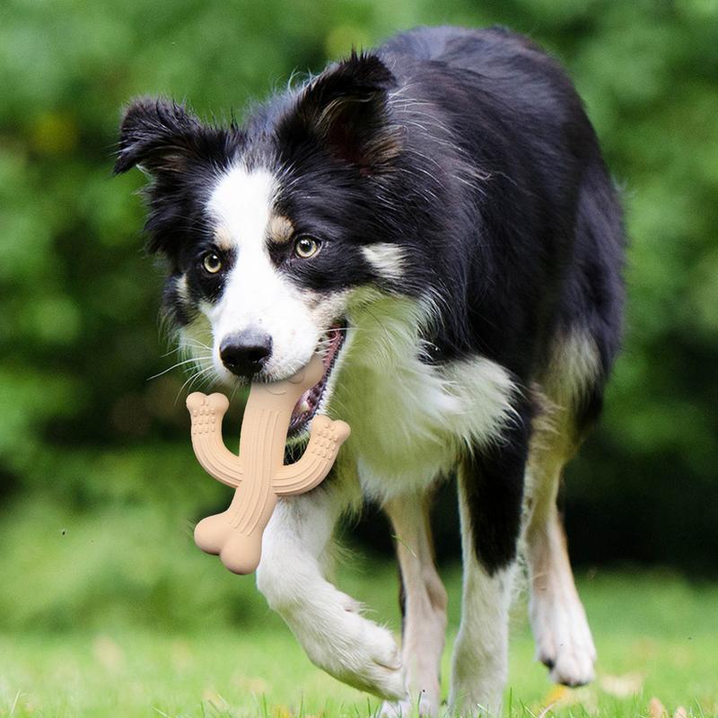 Ultra-Durable Cactus Chew Toys for Pets Interactive Fun