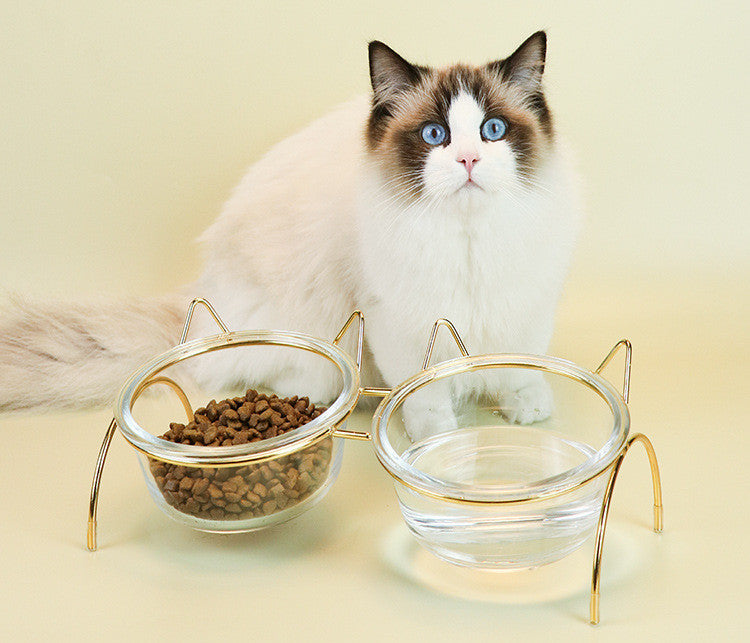 Glass Food and Water Bowl with Metal Rack for Pets