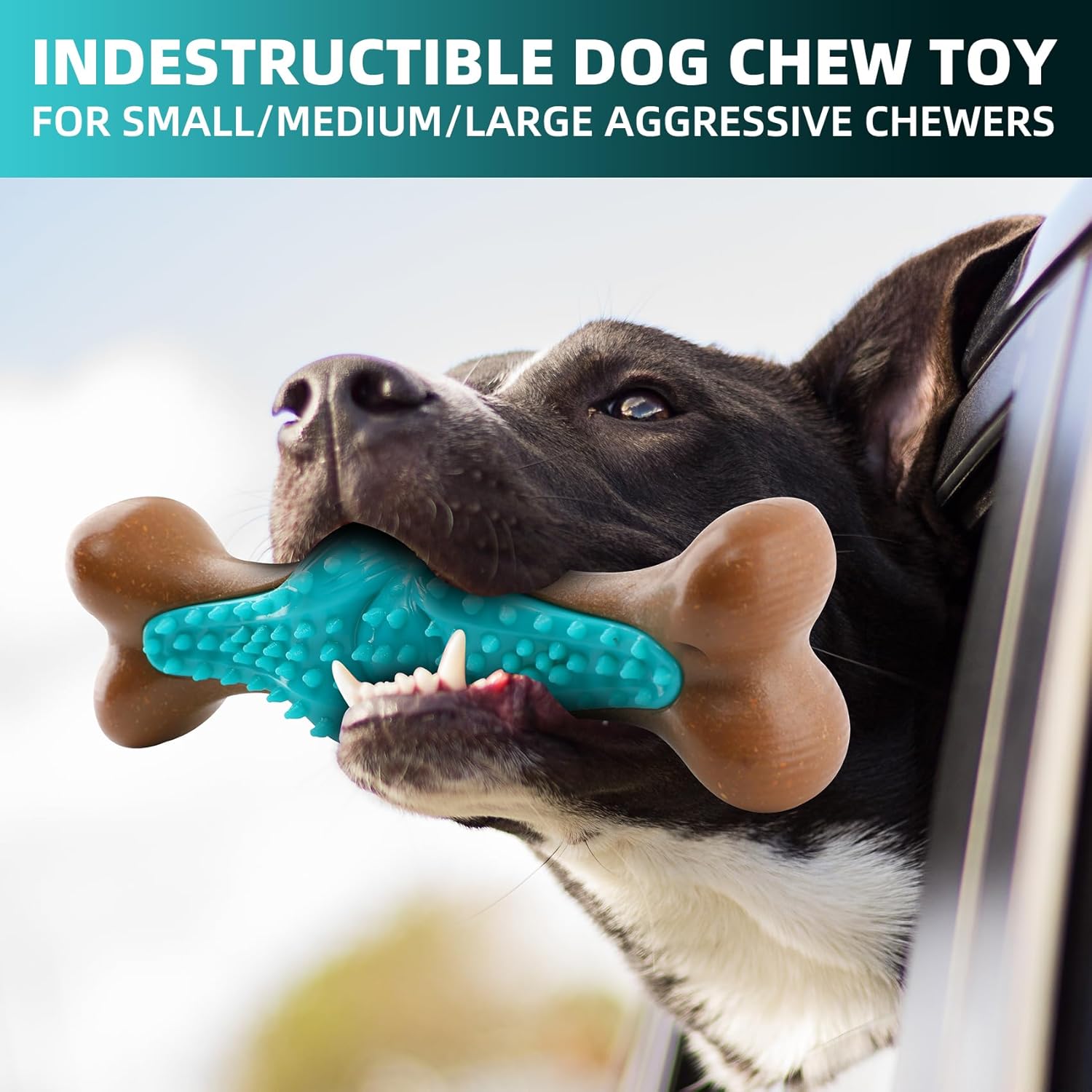 Durable Pet Chew Toy Rubber Bone For Aggressive Chewers