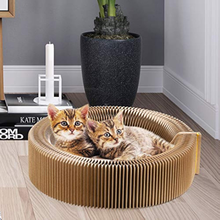 Collapsible Cardboard Scratcher and Lounge Bed for Pets