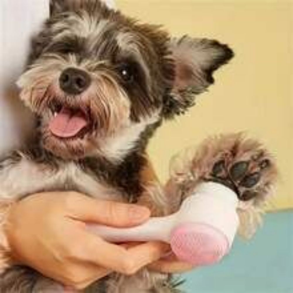 Easy-Clean Nylon Paw Brush and Massage Tool for Pets