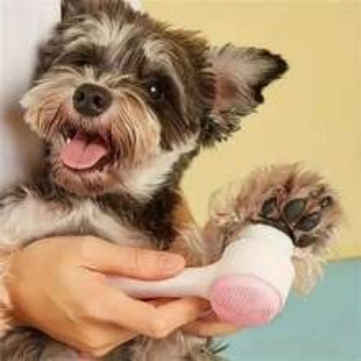 Easy-Clean Nylon Paw Brush and Massage Tool for Pets
