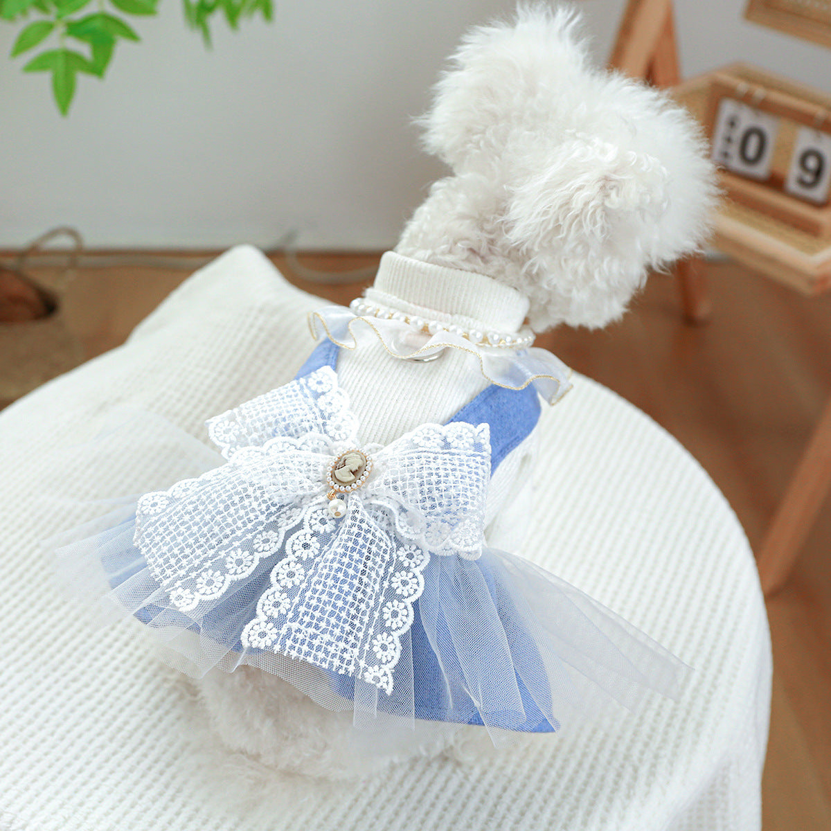 Pearl Lace Cute Pet Dress Clothes For Pet Wear