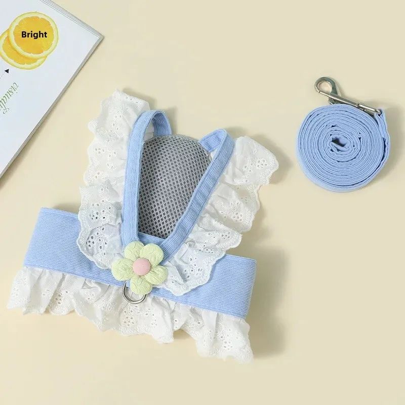 Pet Safety Leash and Collar with Adjustable Walking Strap