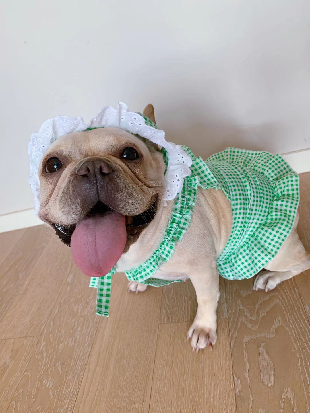 Creative Plaid Pet Dress Set For Pet Wear