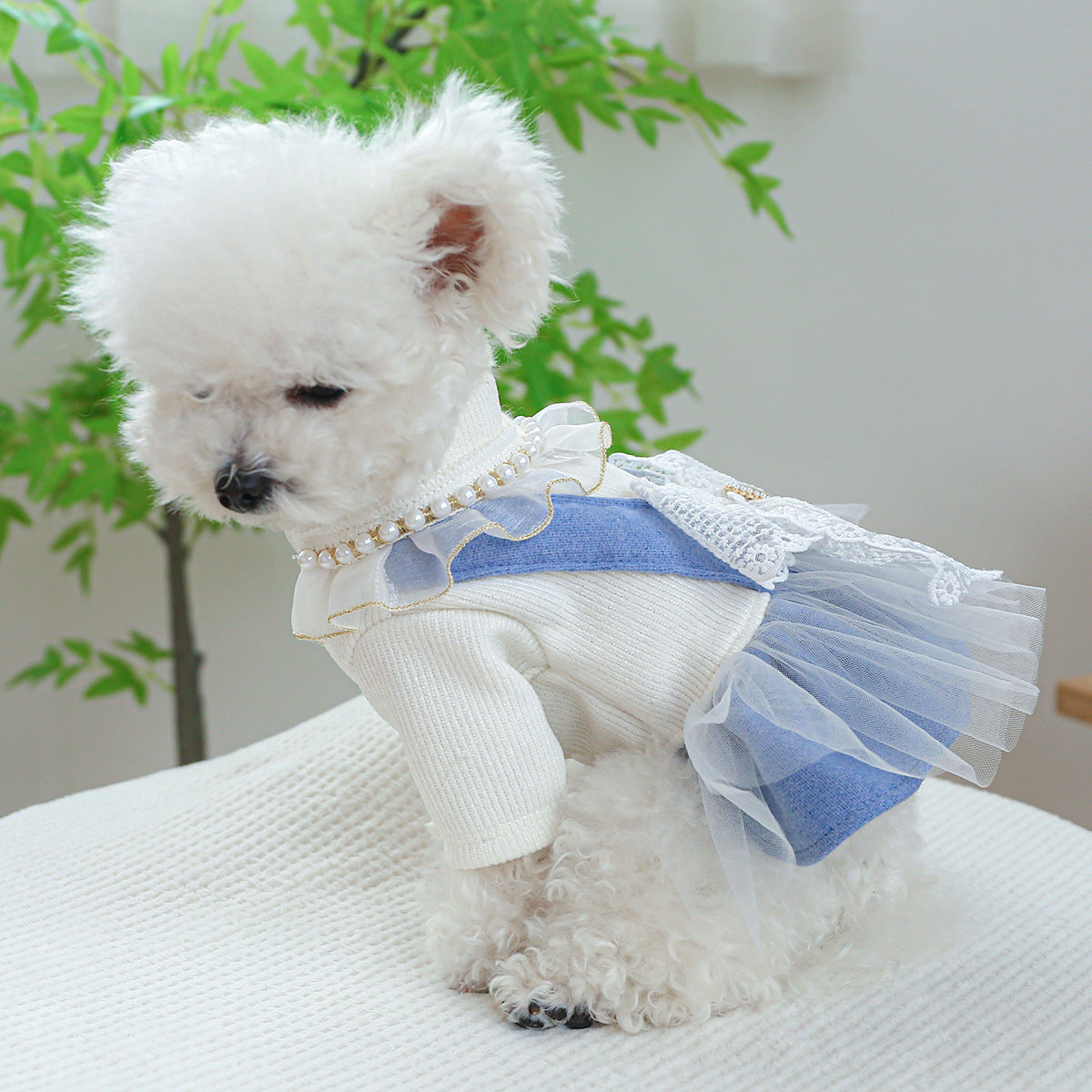 Pearl Lace Cute Pet Dress Clothes For Pet Wear