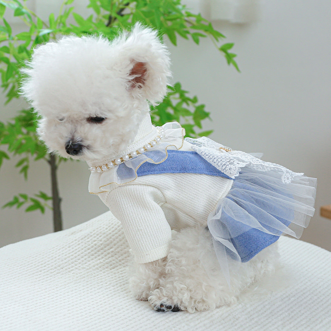 Pearl Lace Cute Pet Dress Clothes For Pet Wear