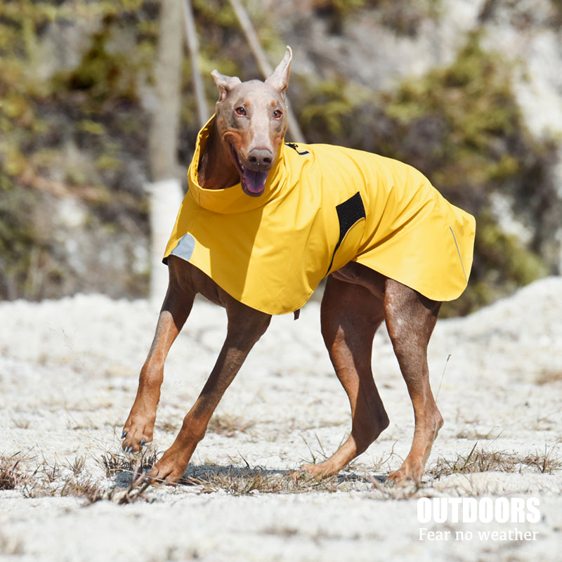 Waterproof Windproof Pet Shell Jacket Outdoor Raincoat Clothing