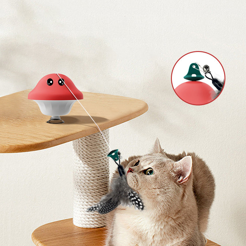 Retractable Wand Teaser Toys for Pets Indoor Exercise