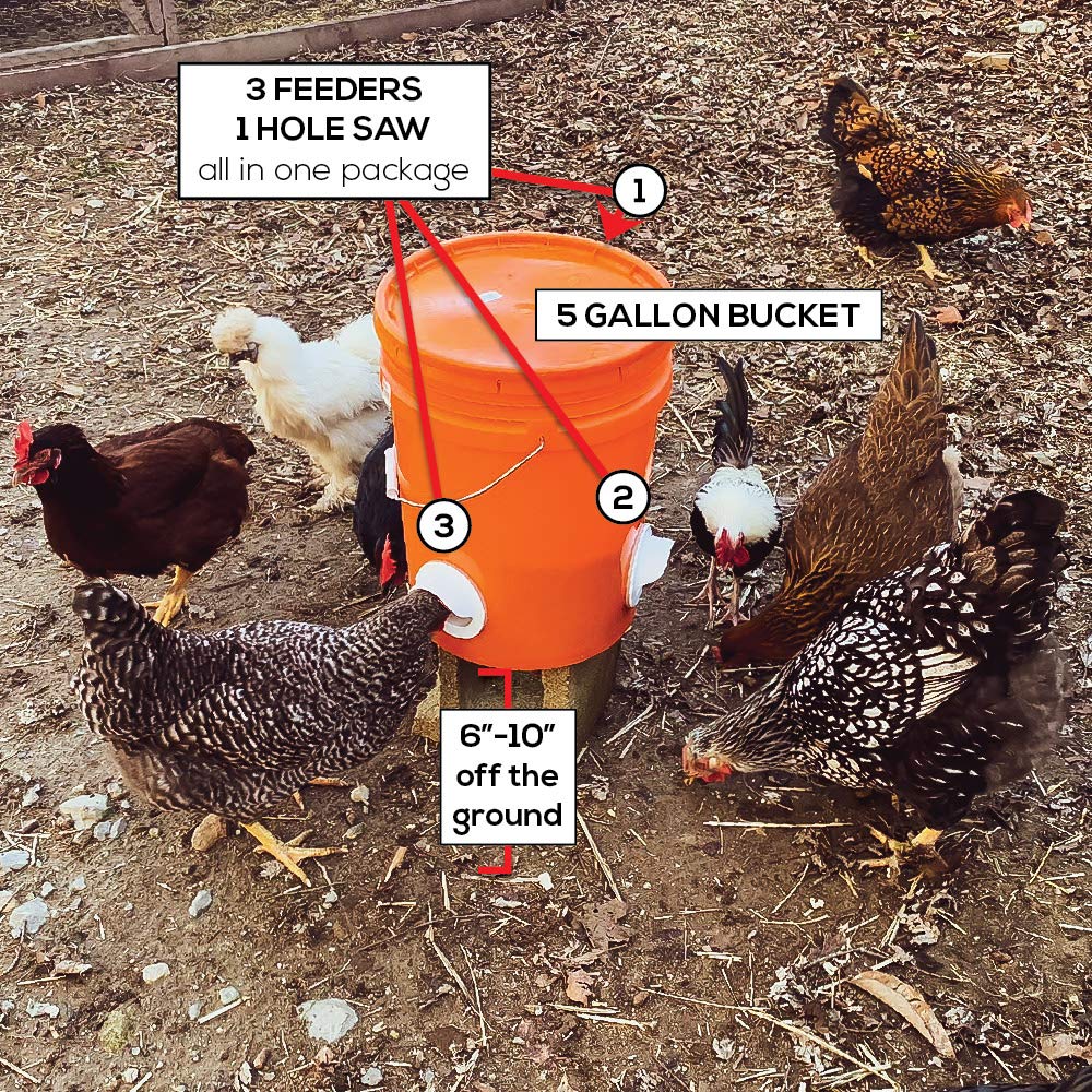 DIY Rainproof Poultry Feeder Chicken Feed Port System