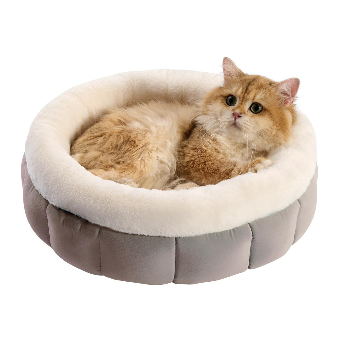 Round Donut Bed Washable Comfortable Pet Bed for Small Pets