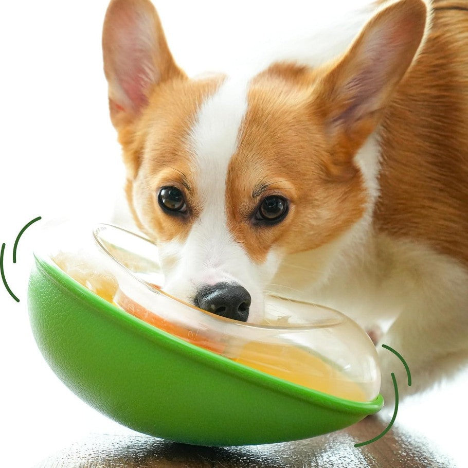 Anti-Tip Avocado-Shaped Feeding Bowl for Pets
