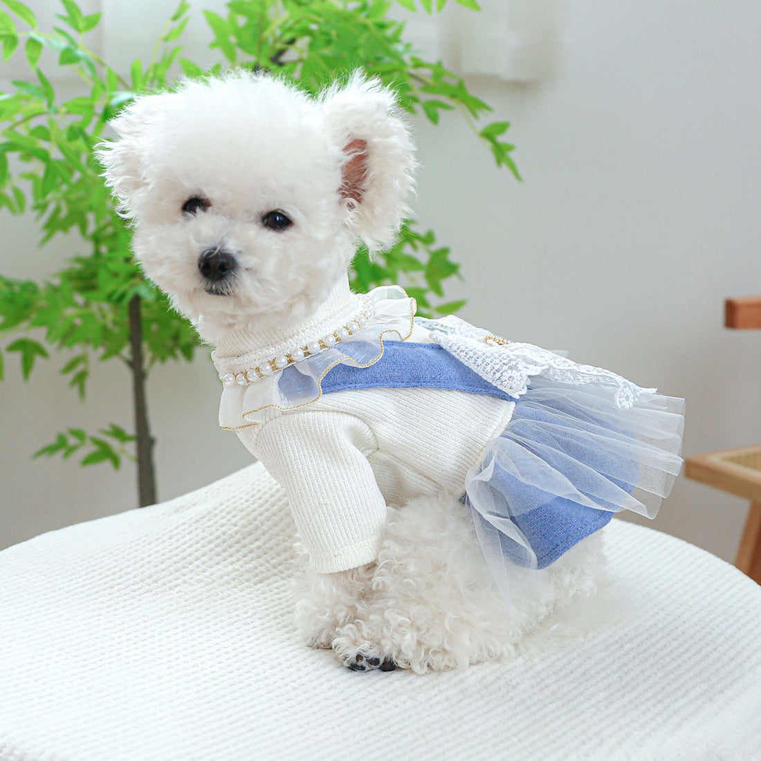 Pearl Lace Cute Pet Dress Clothes For Pet Wear