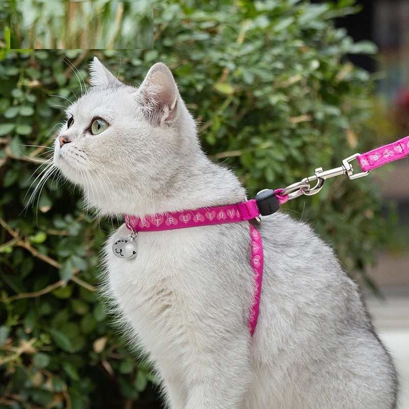 Pet Chest Strap Leash with Bell for Small Pets