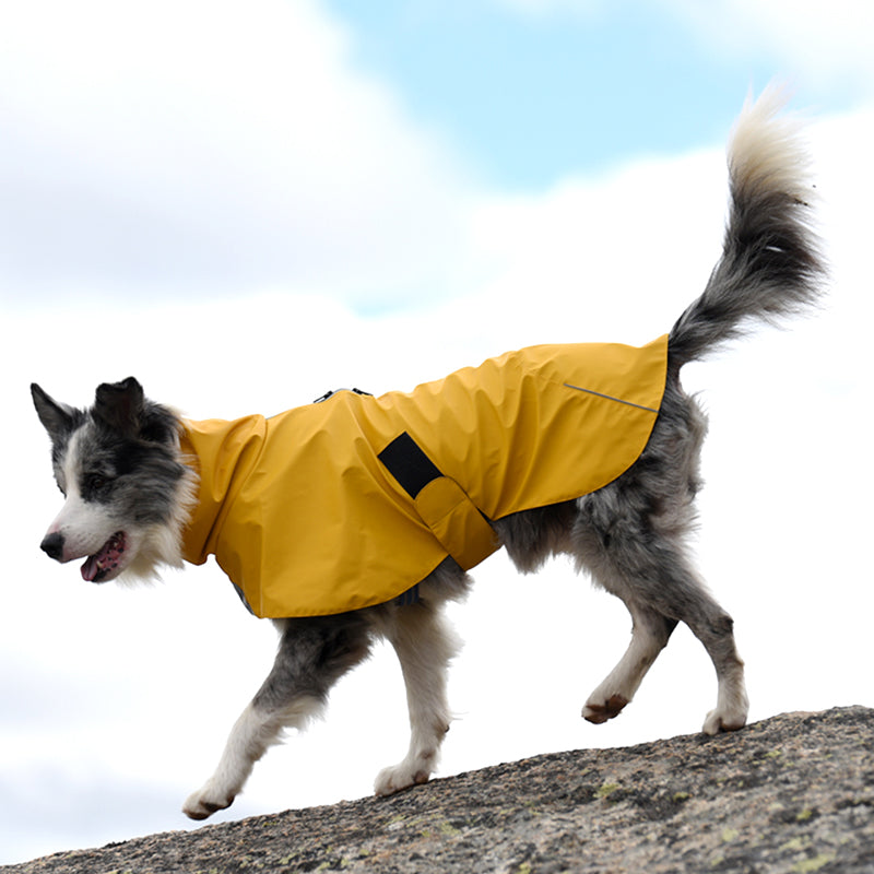 Waterproof Windproof Pet Shell Jacket Outdoor Raincoat Clothing
