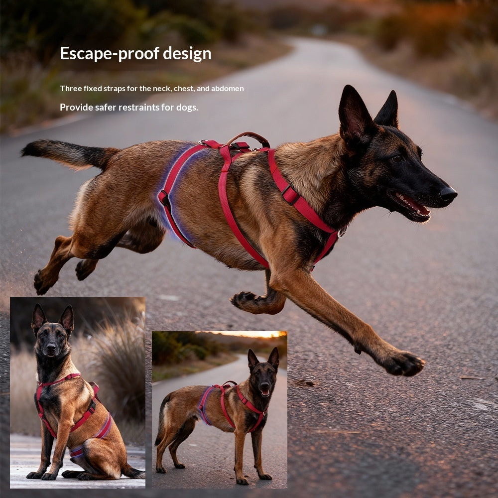 Anti Pull Pet Harness Leash For Medium Large Pets