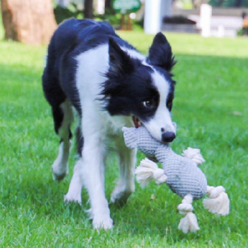 Bite Resistant Interactive Pet Toy For Pet Training